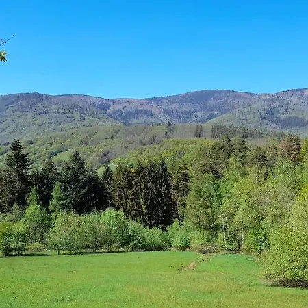 Centre - Le Villois - Au Coeur De L'alsace Holiday home *