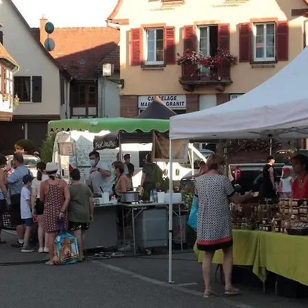 Centre - Le Villois - Au Coeur De L'alsace Semesterbostad
