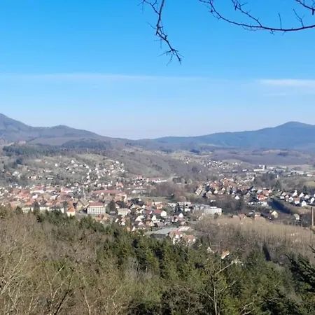 Centre - Le Villois - Au Coeur De L'alsace Holiday home *