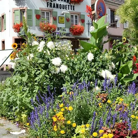 Centre - Le Villois - Au Coeur De L'alsace Villé