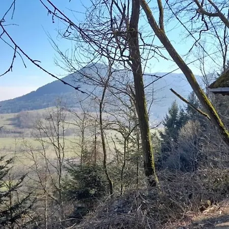 Holiday home Centre - Le Villois - Au Coeur De L'alsace