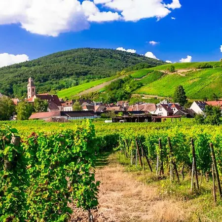Centre - Le Villois - Au Coeur De L'alsace * Ville (Bas-Rhin)