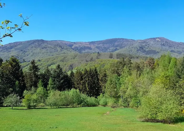 Centre - Le Villois - Au Coeur De L'alsace Semesterbostad *