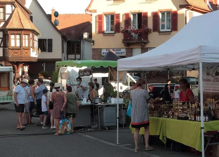 Centre - Le Villois - Au Coeur De L'alsace Semesterbostad