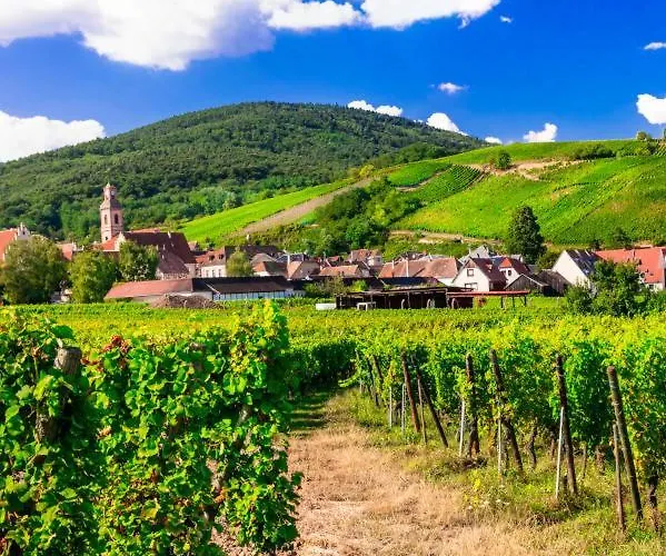 Centre - Le Villois - Au Coeur De L'alsace * Villé